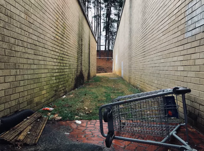 A shopping cart in a back garden